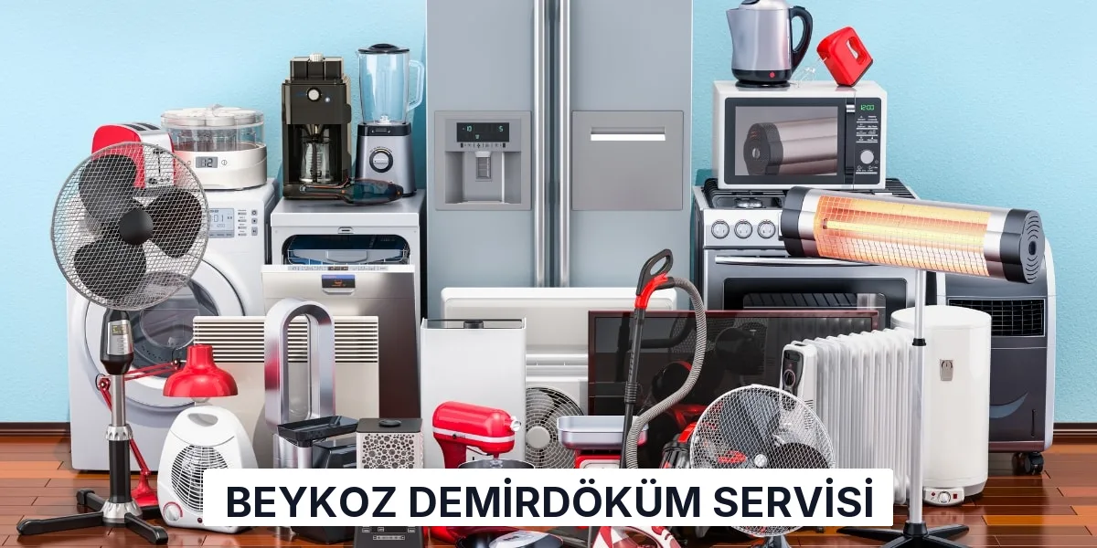 Beykoz Demirdöküm Servisi