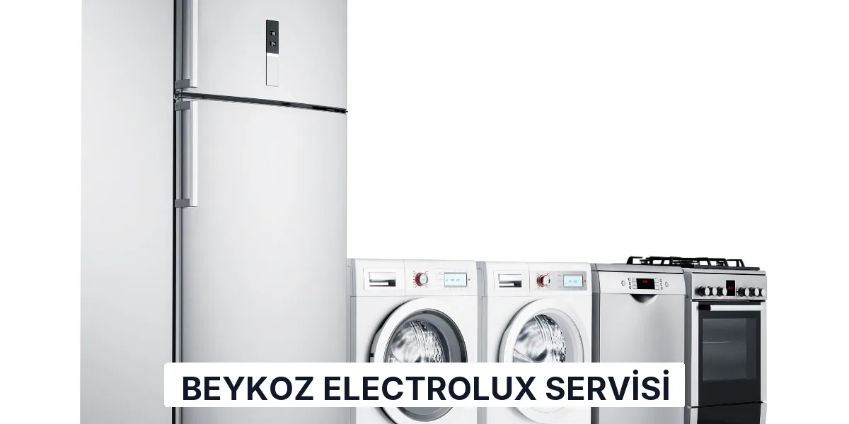 Beykoz Electrolux Servisi